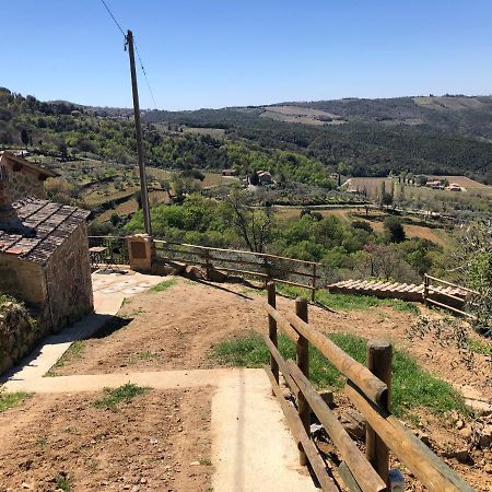 Podere Soccorso Casa Vigneto Montalcino Exteriér fotografie