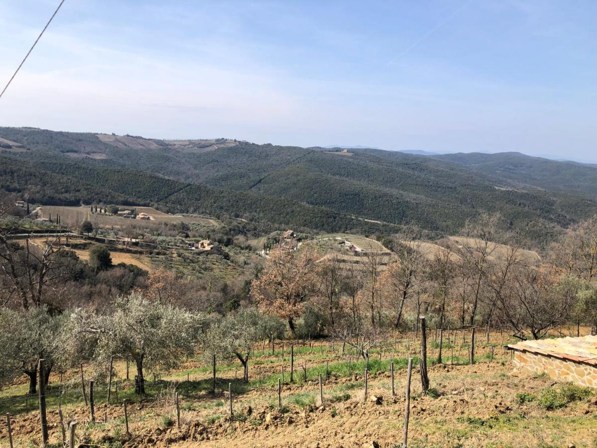 Podere Soccorso Casa Vigneto Montalcino Exteriér fotografie