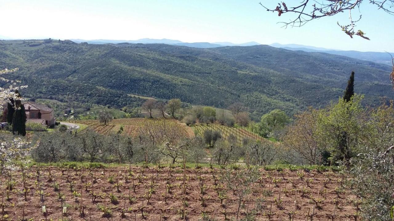 Podere Soccorso Casa Vigneto Montalcino Exteriér fotografie