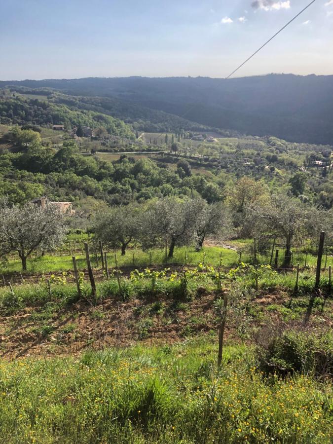 Podere Soccorso Casa Vigneto Montalcino Exteriér fotografie